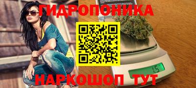 мяу мяу мука Заводоуковск