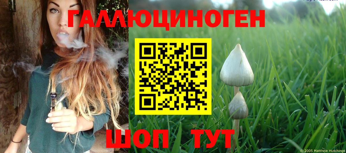 Псилоцибиновые грибы MAGIC MUSHROOMS  Вход с VPN  Выборг  Псилоцибиновые грибы Cubensis 