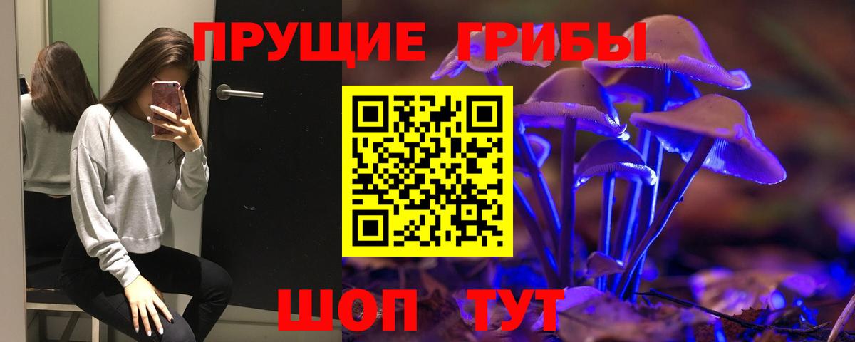 Псилоцибиновые грибы Psilocybine cubensis Выборг